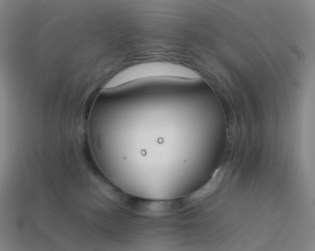 X0000113890184200910081816