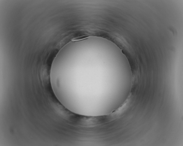 X0000113890186200910081816