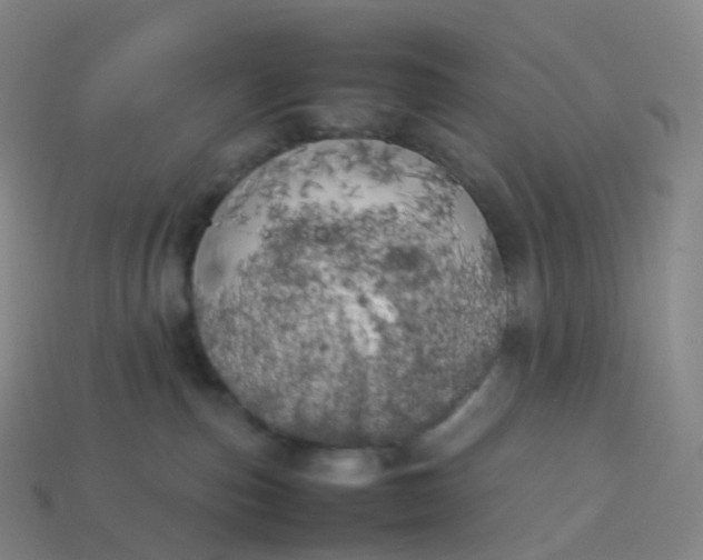 X0000113890187200910081816