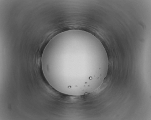 X0000113890188200910081816