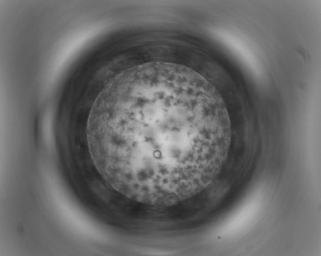 X0000113890189200910081816