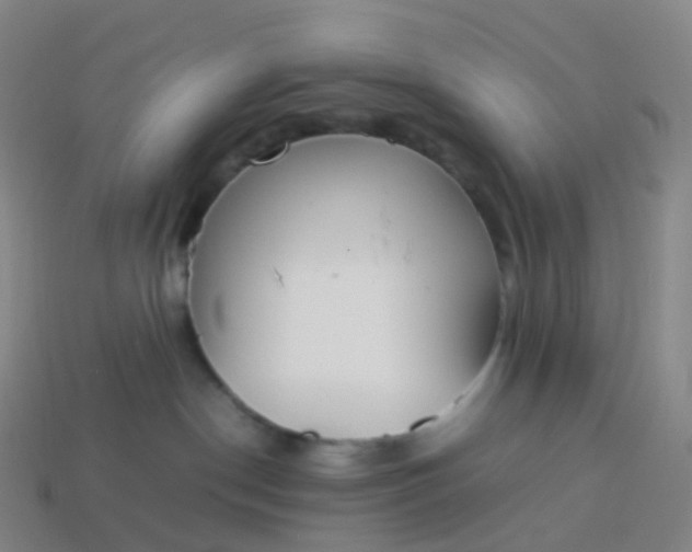 X0000113890190200910081816