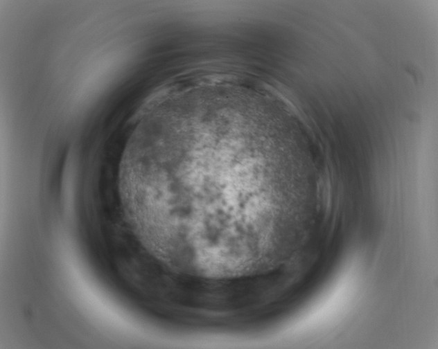 X0000113890191200910081816