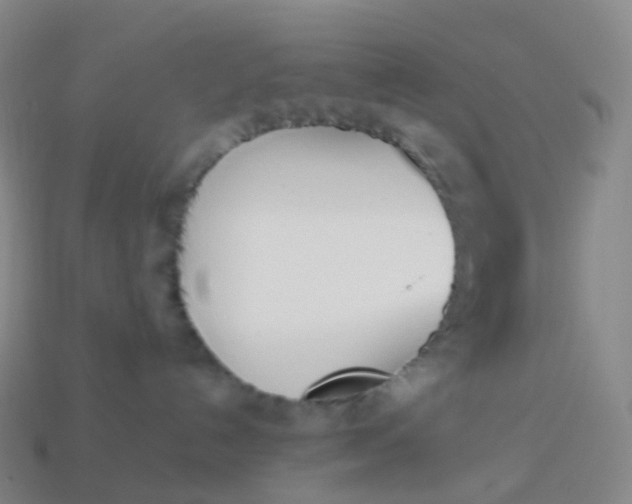 X0000113890192200910081816