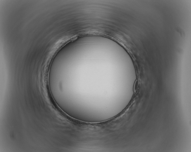 X0000113890193200910081815