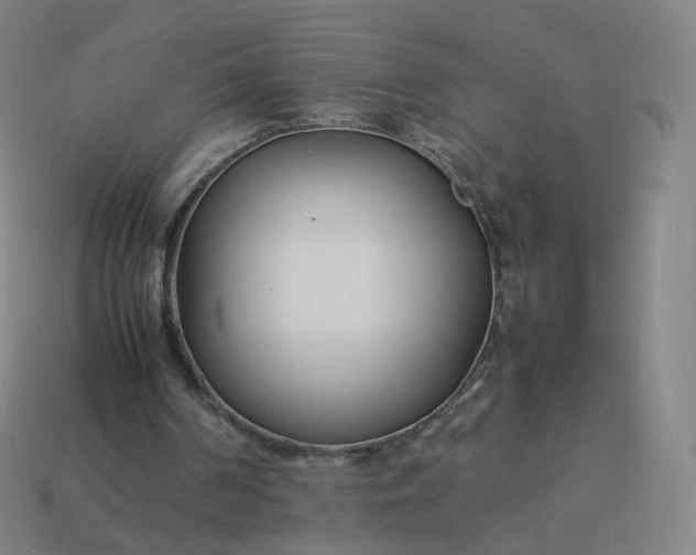 X0000113890194200910081815