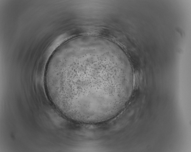 X0000113890195200910081815