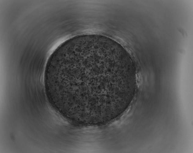 X0000113890196200910081815