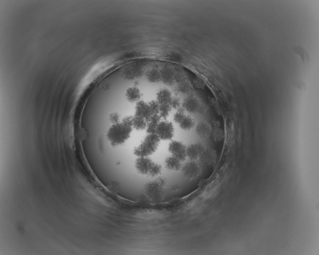 X0000113890198200910081815