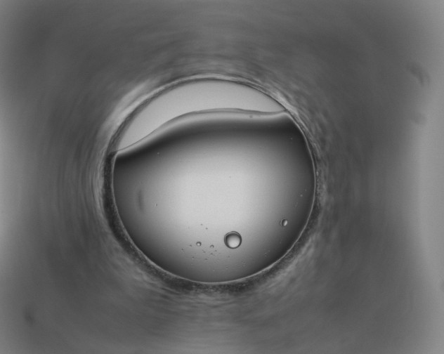 X0000113890199200910081815