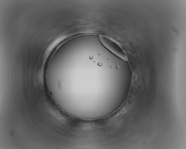 X0000113890200200910081815