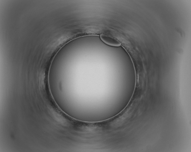 X0000113890201200910081815