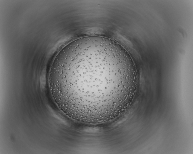 X0000113890202200910081815