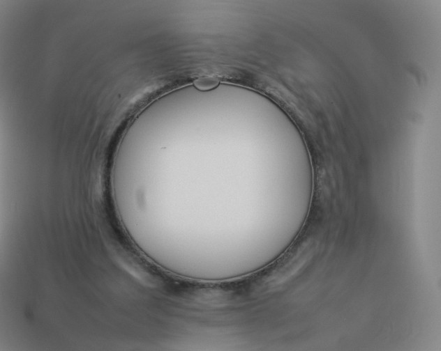 X0000113890203200910081815