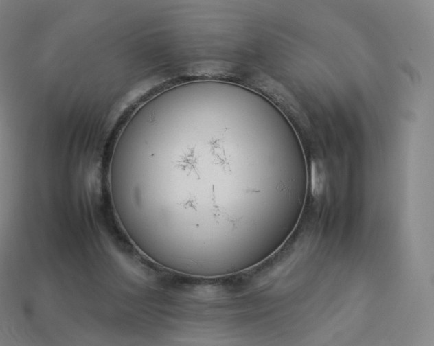 X0000113890204200910081815