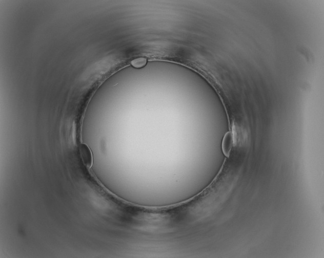 X0000113890205200910081815