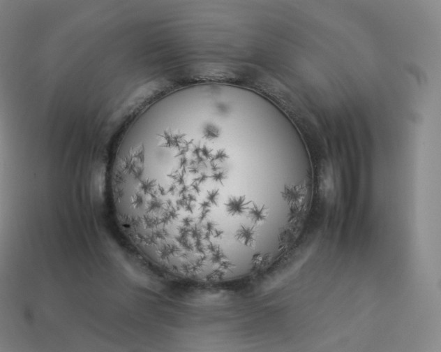 X0000113890206200910081815