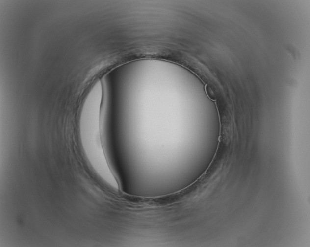 X0000113890207200910081815