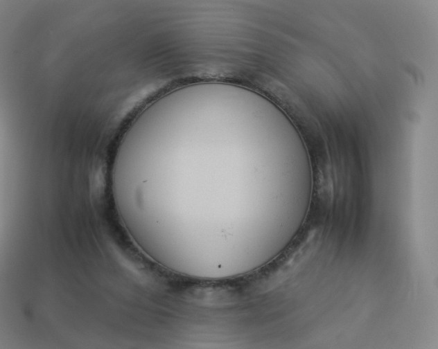 X0000113890208200910081815