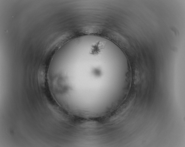 X0000113890210200910081815