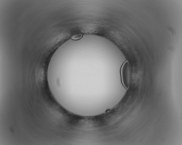 X0000113890211200910081815