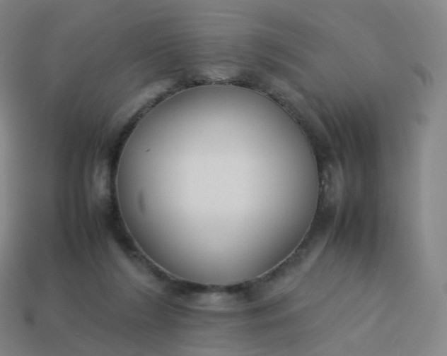 X0000113890212200910081815