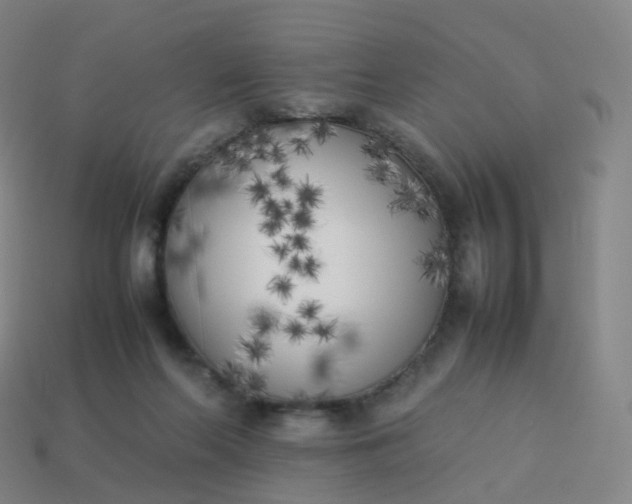 X0000113890214200910081815