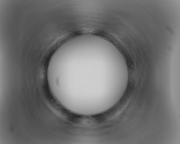 X0000113890215200910081815