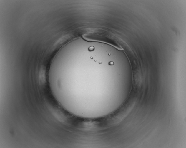 X0000113890216200910081815