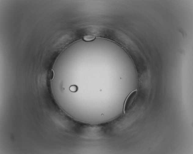 X0000113890217200910081815