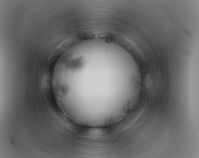 X0000113890218200910081815