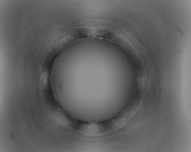 X0000113890219200910081815