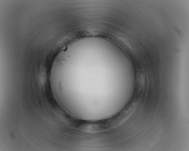 X0000113890220200910081815