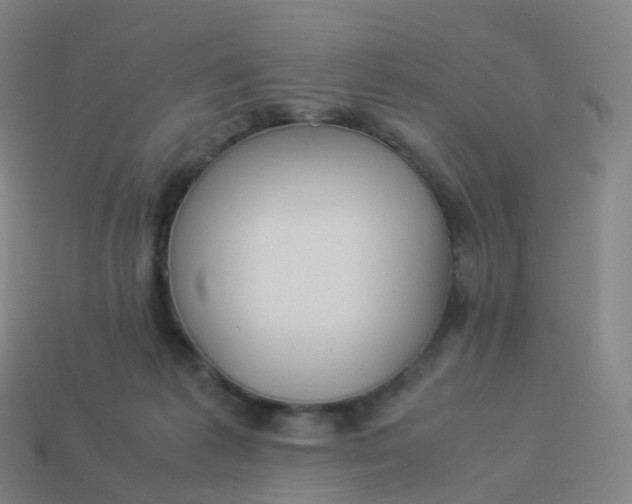 X0000113890221200910081815