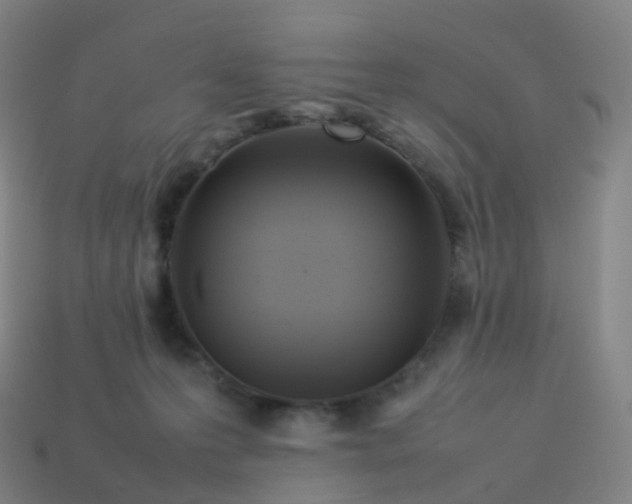 X0000113890223200910081815