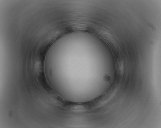 X0000113890224200910081815