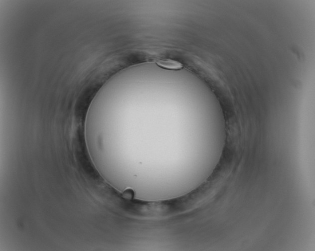 X0000113890225200910081815