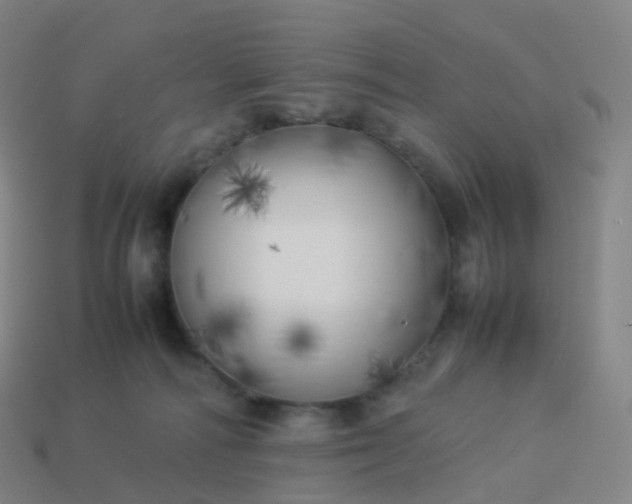 X0000113890226200910081815