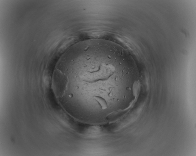 X0000113890227200910081815