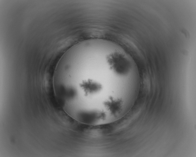 X0000113890228200910081815