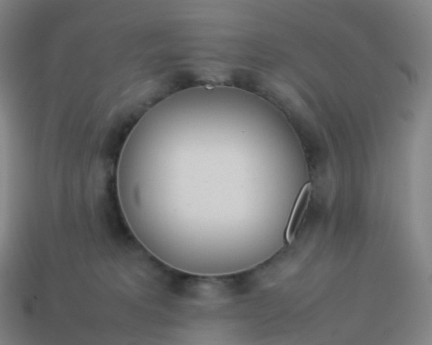 X0000113890229200910081815