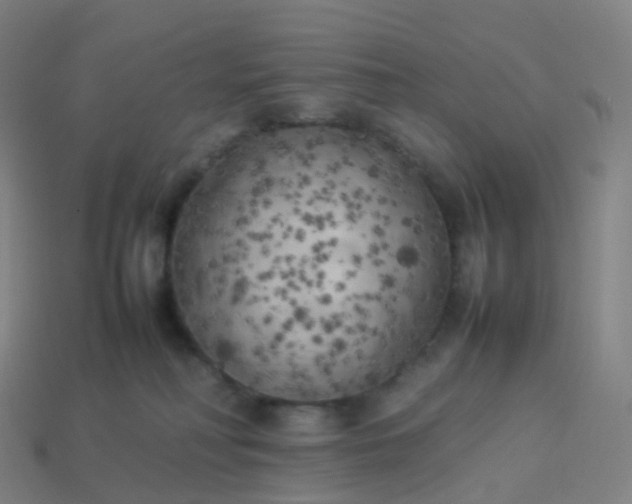 X0000113890230200910081815