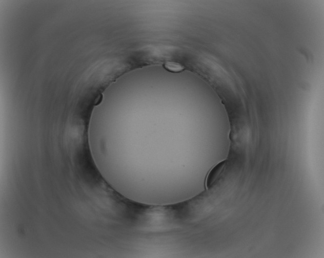 X0000113890231200910081815