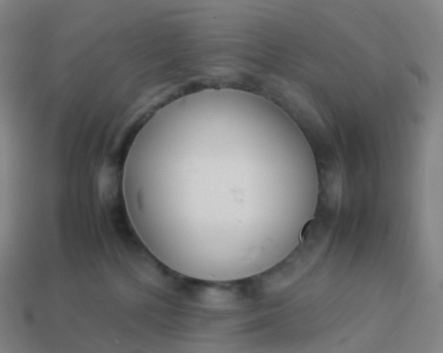 X0000113890232200910081815