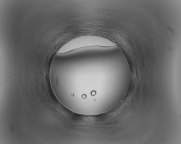 X0000113890233200910081815