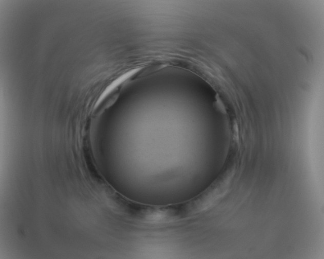 X0000113890235200910081815