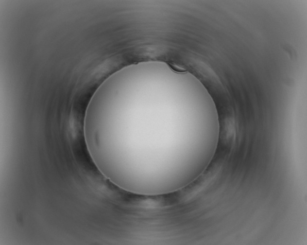 X0000113890236200910081815