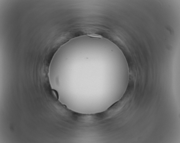 X0000113890237200910081815