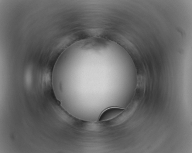 X0000113890238200910081815