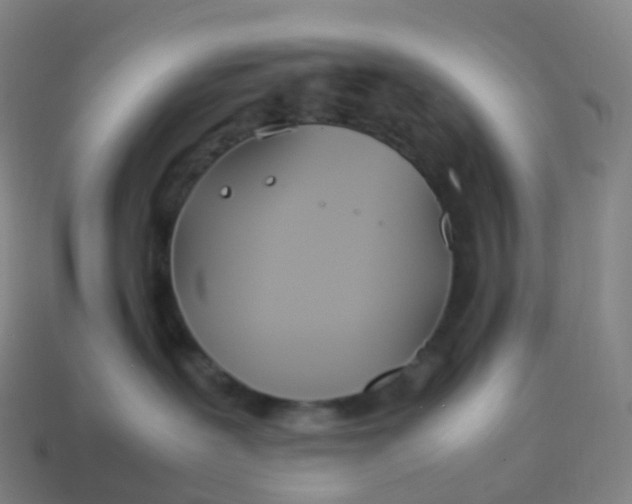 X0000113890239200910081814